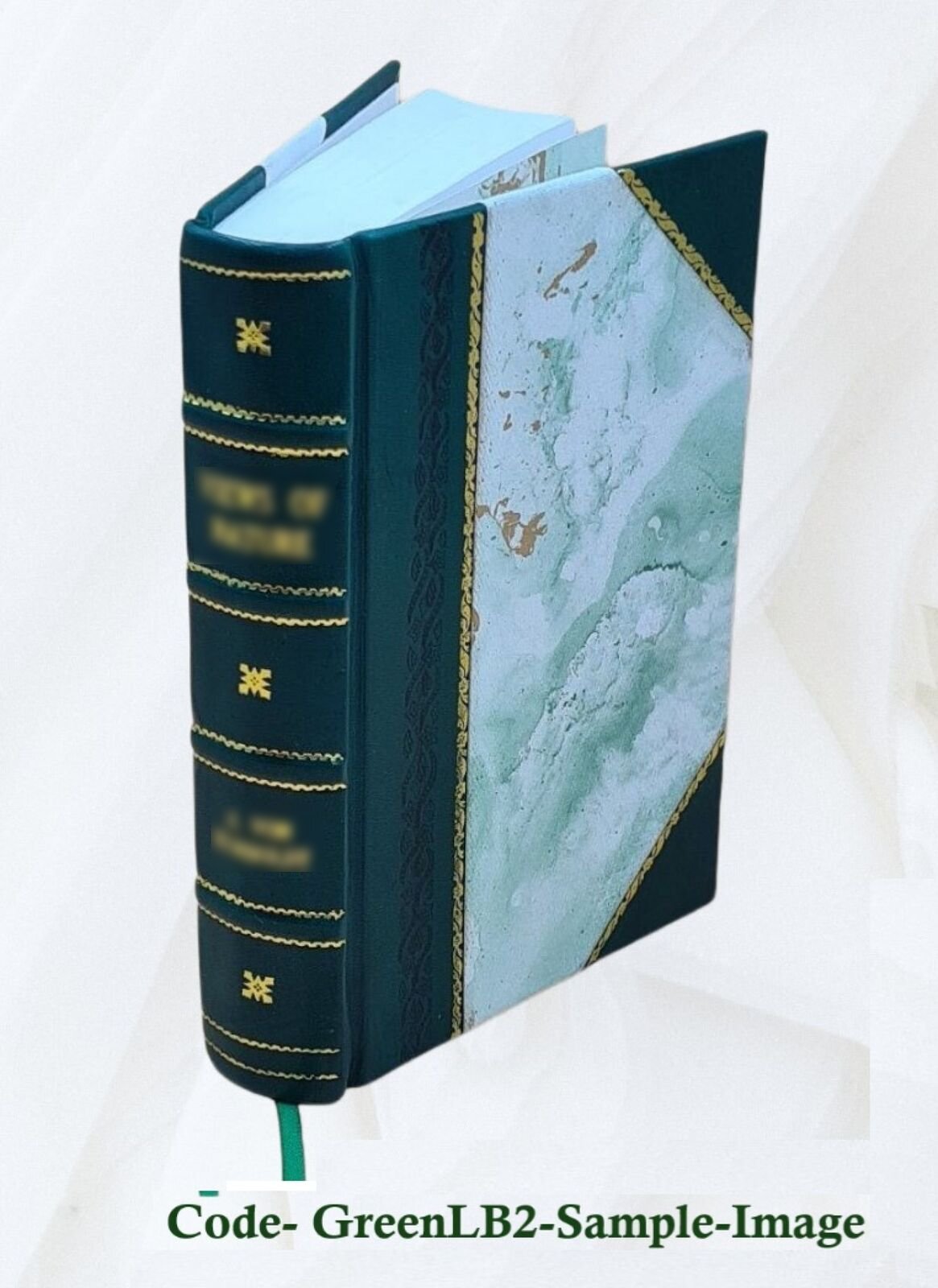 Lectures On The Labour Question 1878 By Thomas Brassey [Leather Bound]