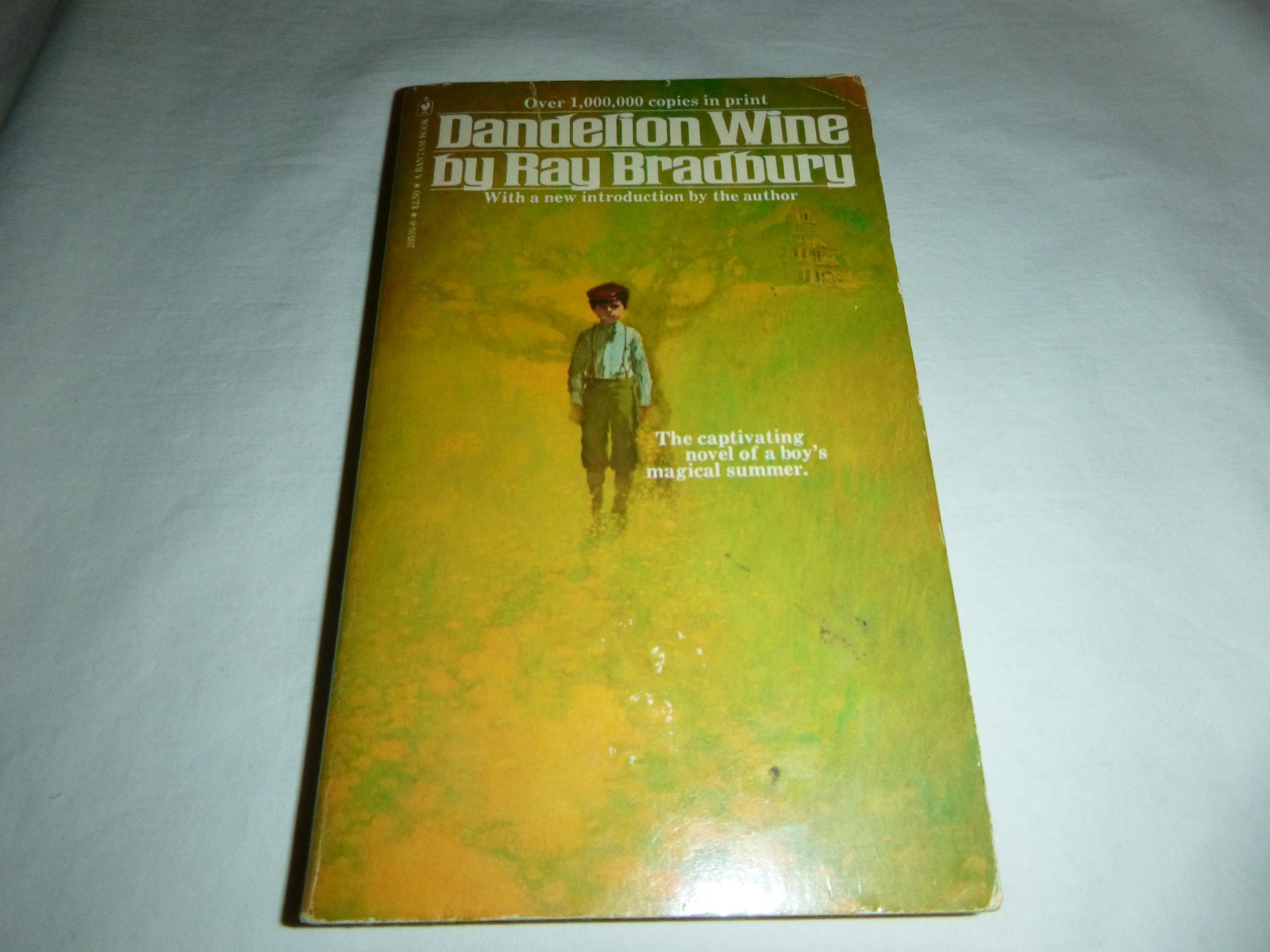Dandelion Wine by Ray Bradbury – Vintage 1981 Paperback Book