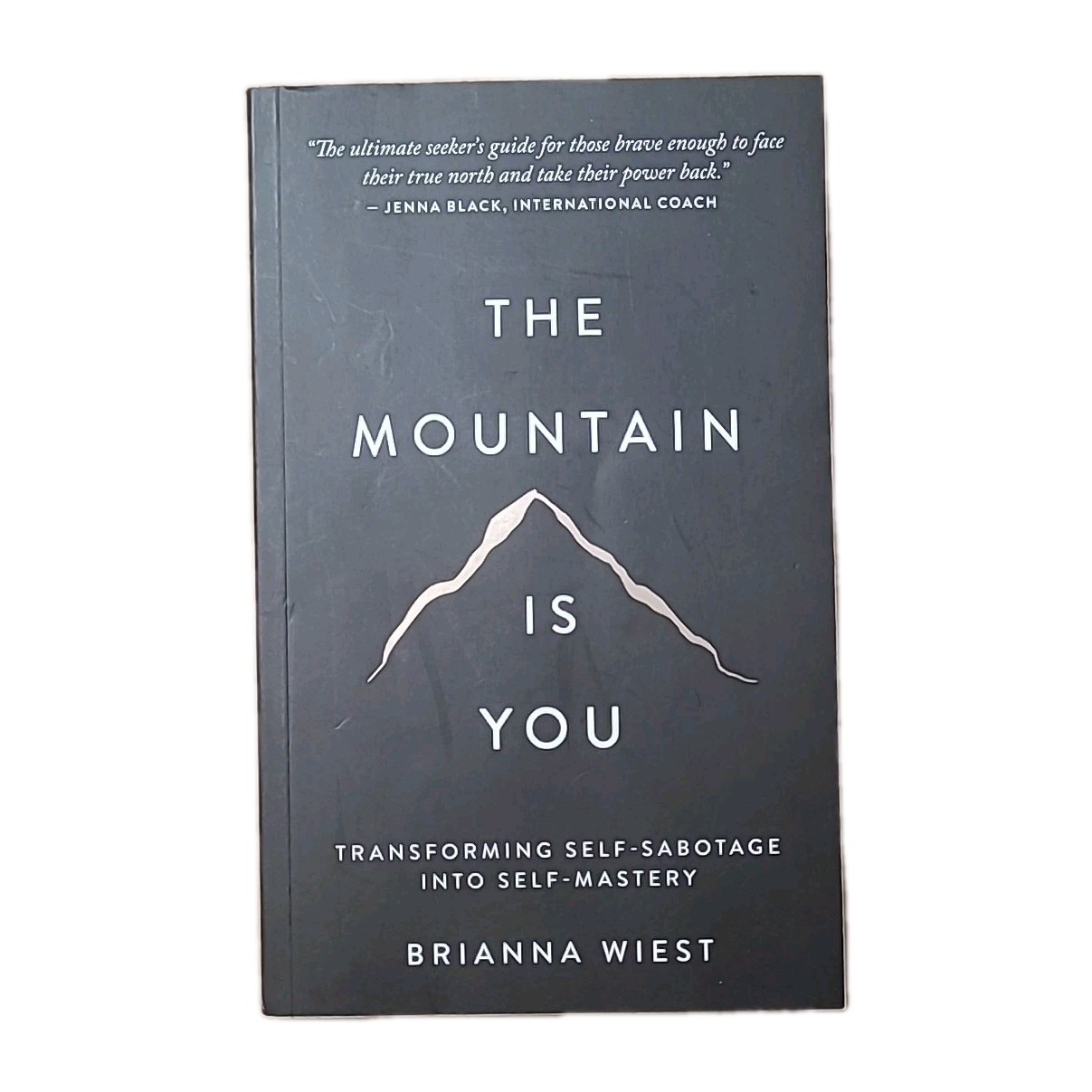 The Mountain Is You: Transforming Self-Sabotage Into Self-Mastery Paperback