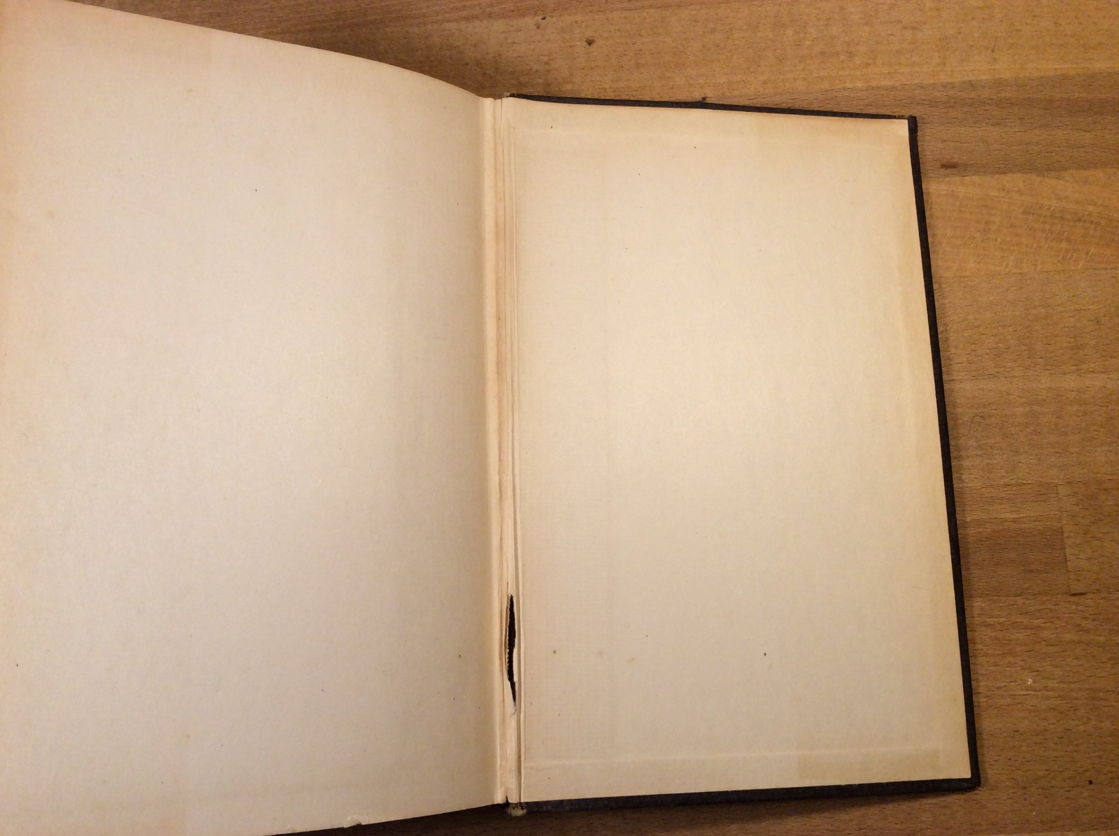 The Story of the Irish Race, Seumas MacManus, 1922 Hardcover, 3rd Edition