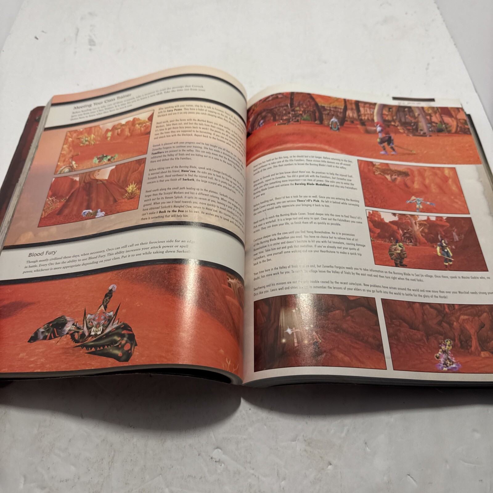 World of Warcraft Cataclysm Signature Series Guide (Bradygames Signa – GOOD