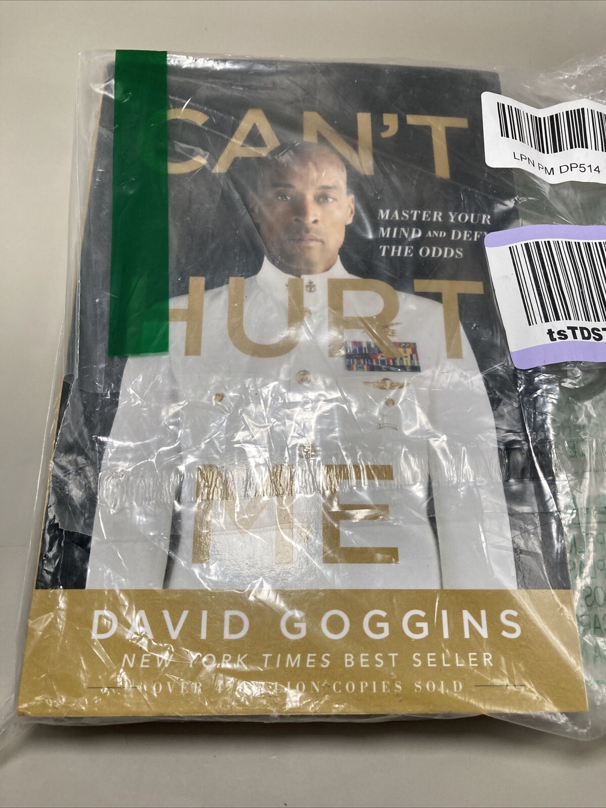 Can’t Hurt Me: Master Your Mind and Defy the Odds
