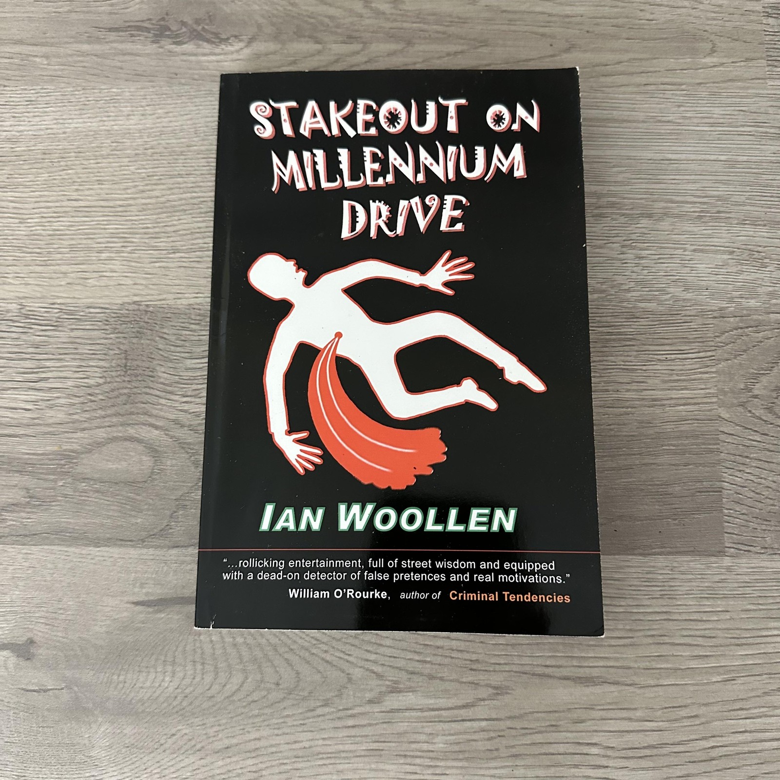 Stakeout On Millennium Drive Ian Woollen Signed Mystery 1st Ed 2005 PB USA