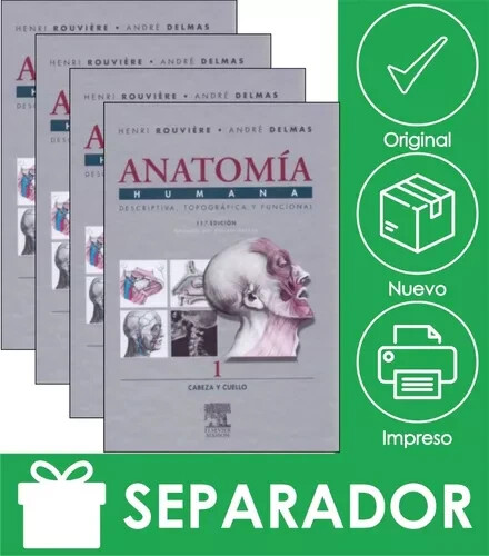 Pack Anatomía Humana Tomos 1, 2, 3, 4 (Spanish) By henri Rouviere