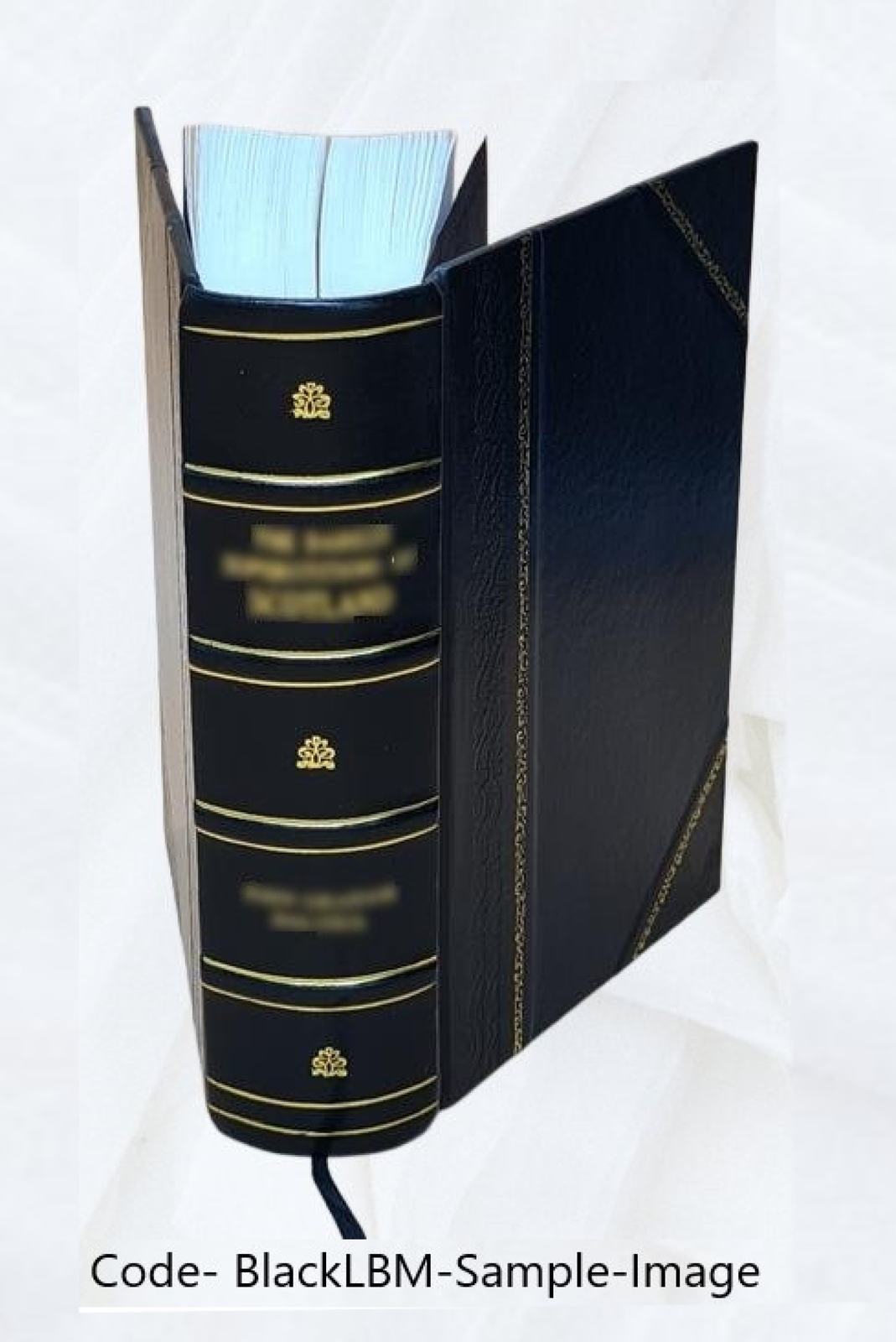 The Homoeopathic Vade Mecum Of Modern Medicine And Surgery. For [Leather Bound]
