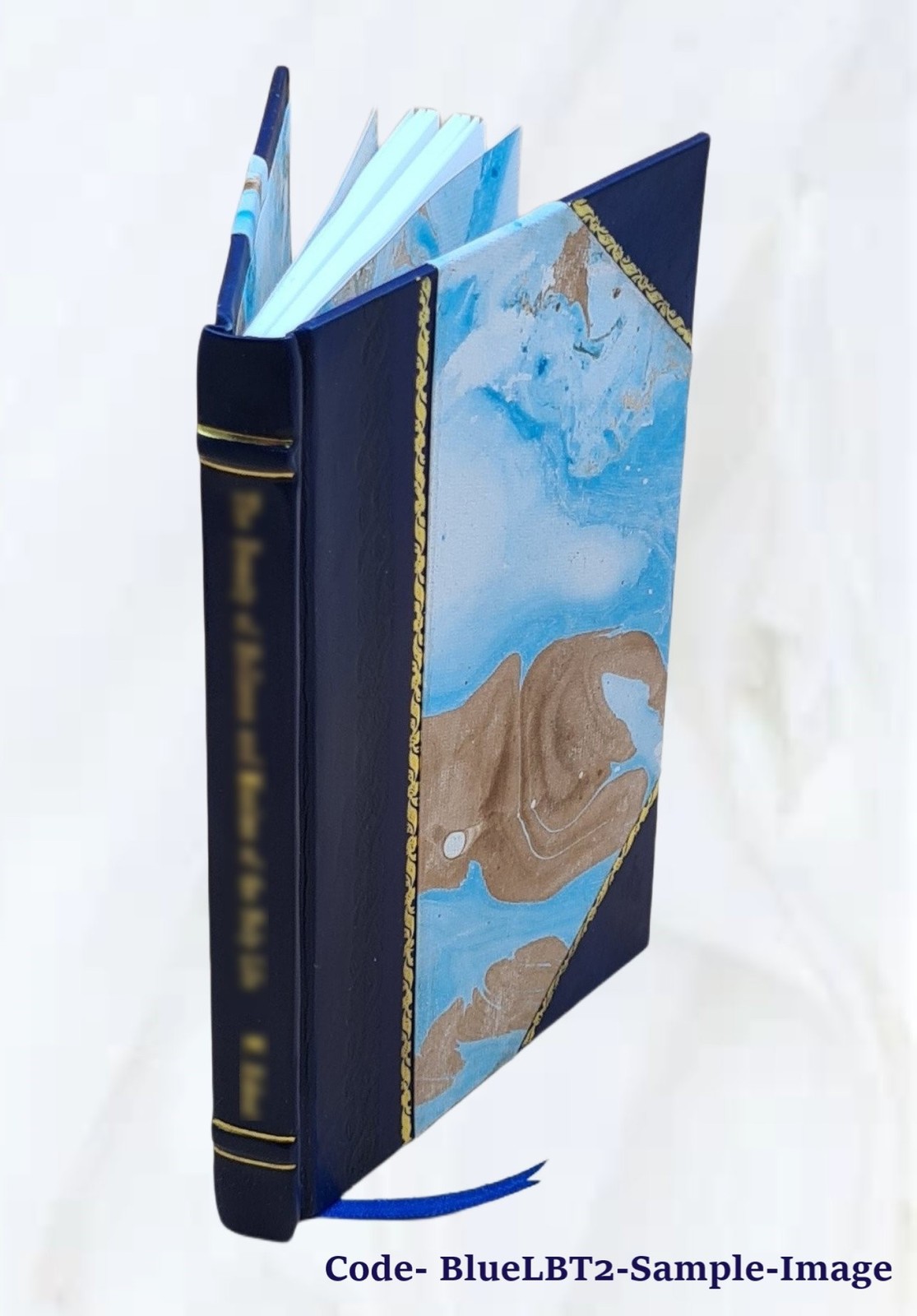 Lecture, Introductory To The Course On The Theory And Practice O [Leather Bound]