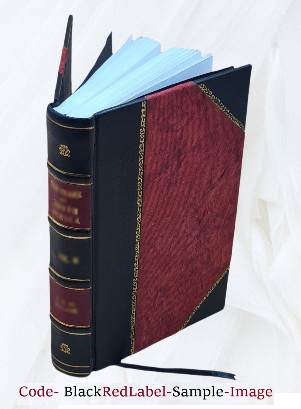 The Lady’S Manual Of Homeopathic Treatment In The Various Derang [Leather Bound]