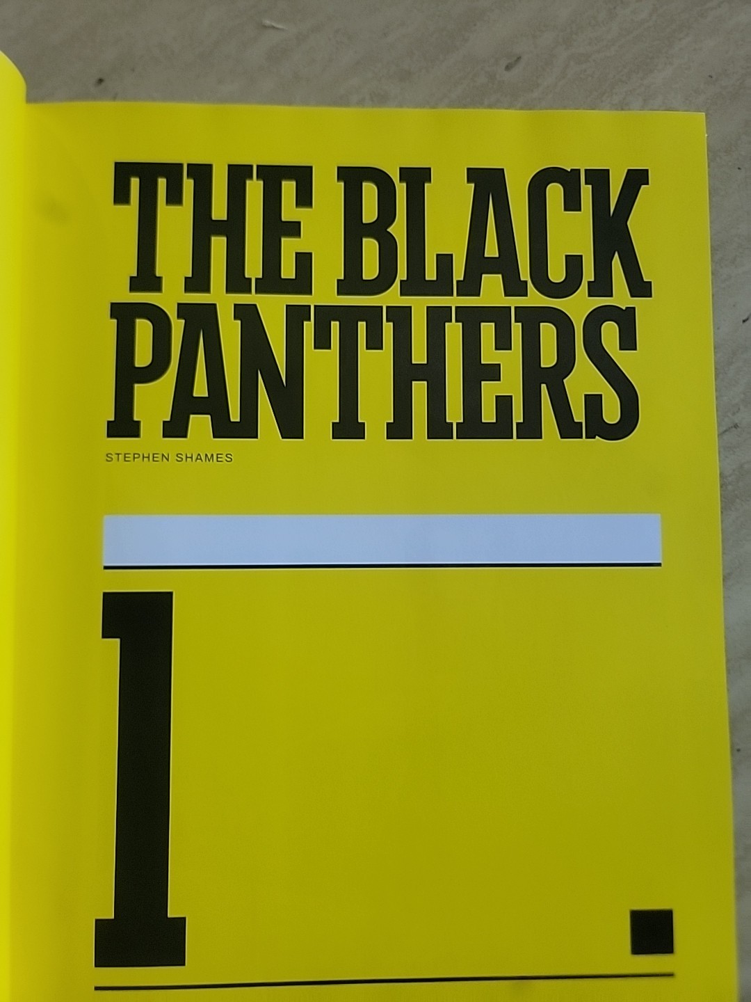 Power to the People.The World of the Black Panthers.