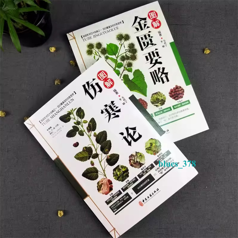 2pc Chinese Traditional Herbal Book Shanghan Zabing Lun 伤寒论 张仲景 +金匮要略 中医临床书籍基础理论
