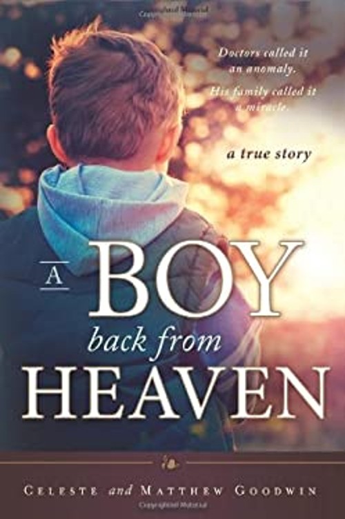 A Boy Back from Heaven Paperback Matthew, Goodwin, Celeste Goodwi