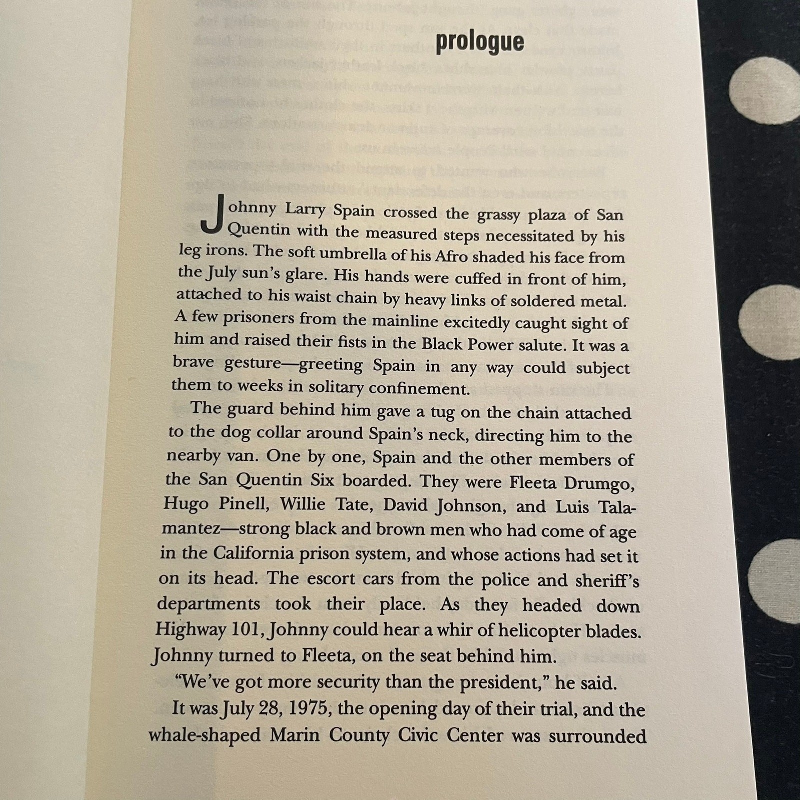 Black Power White Blood: The Life and Times of Johnny Spain by Lori Andrews 1999