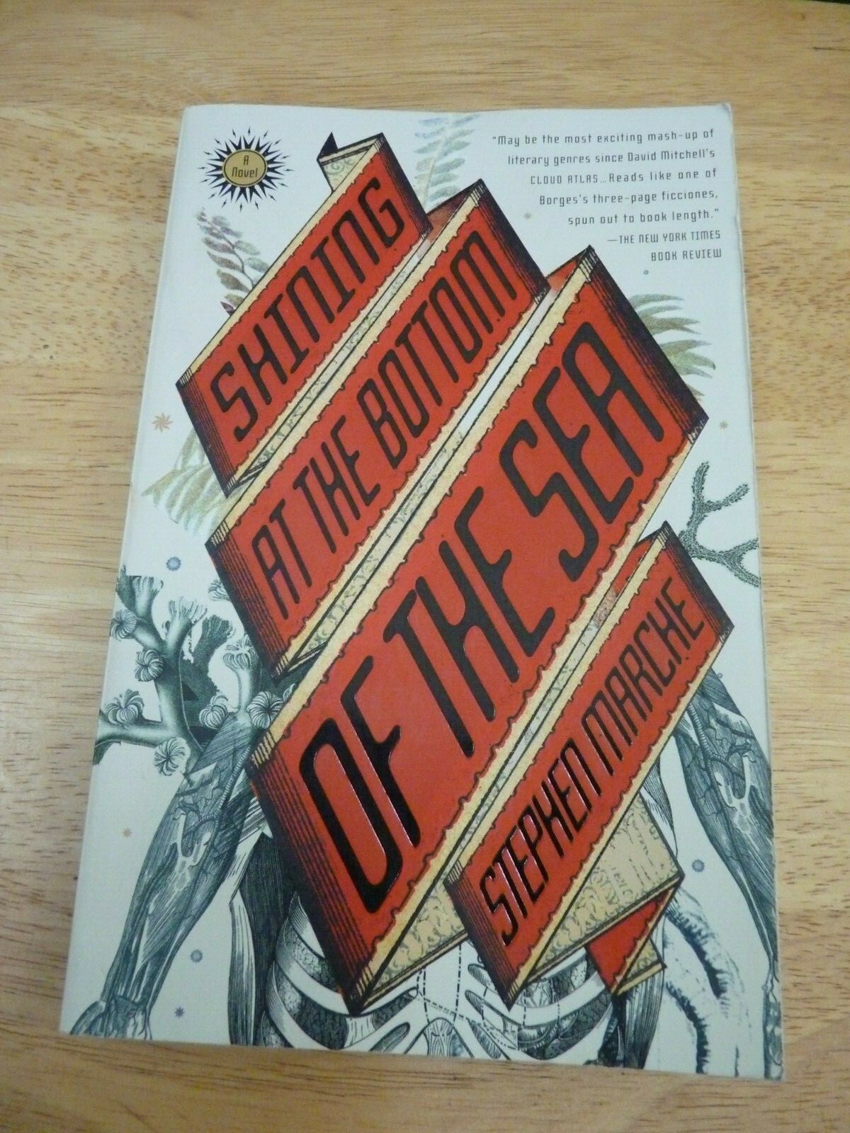 Shining at the Bottom of the Sea by Stephen Marche (2008, UK-B Format Paperback)