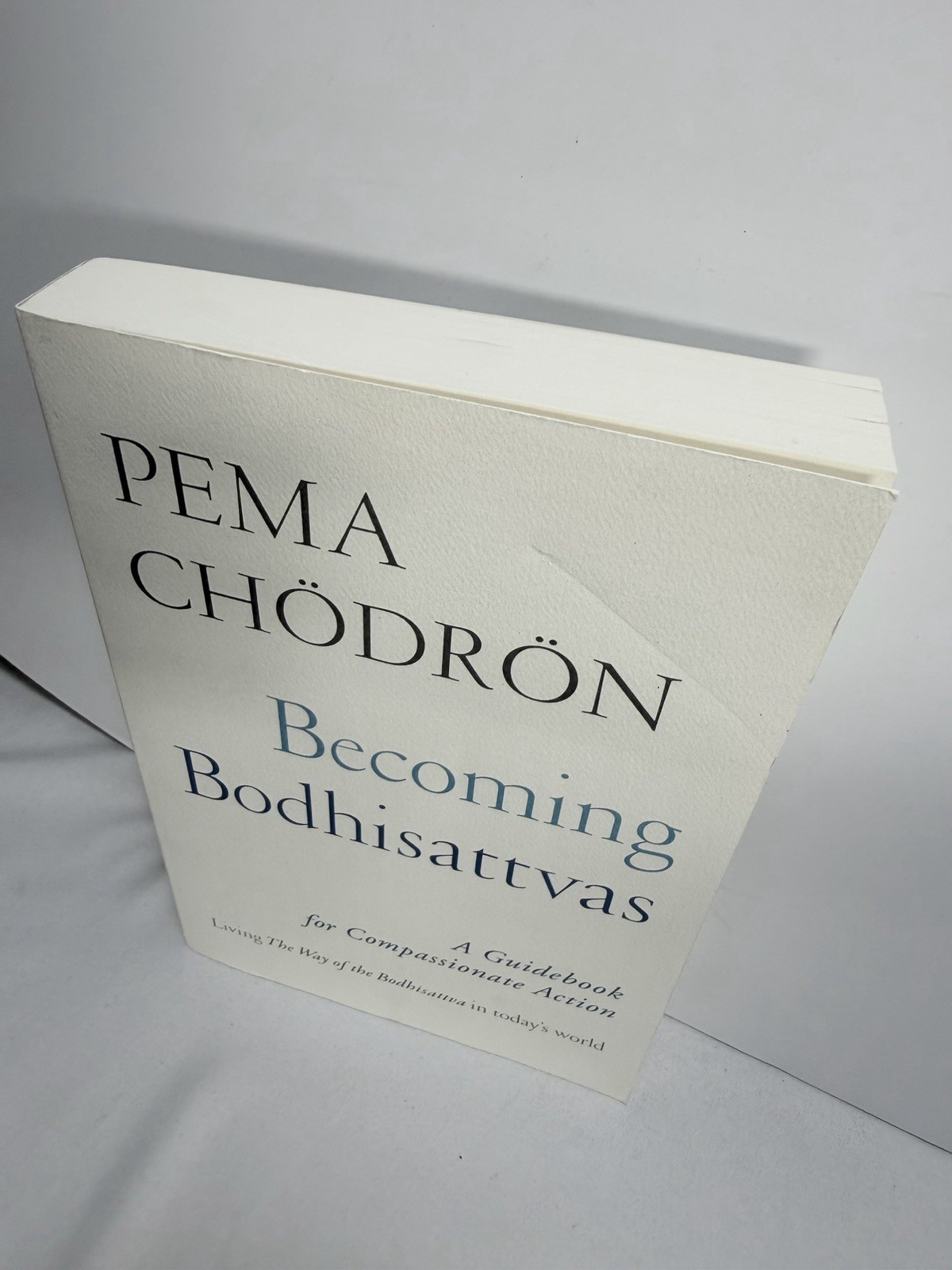 Becoming Bodhisattvas : A Guidebook for Compassionate Action by Pema Chödrön…