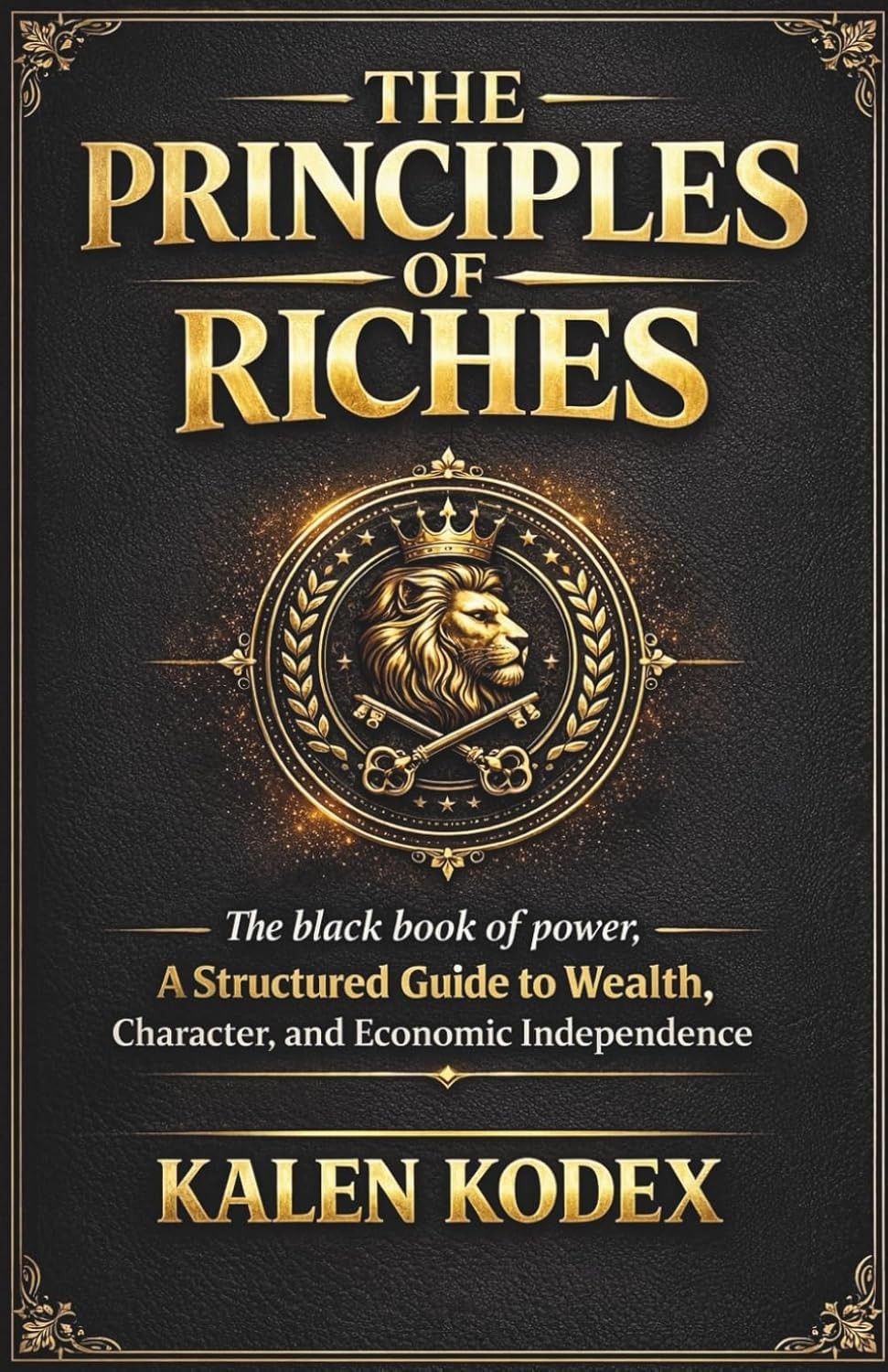 The Principles Of Riches: The black book of power, A Structured Guide to Wealth,