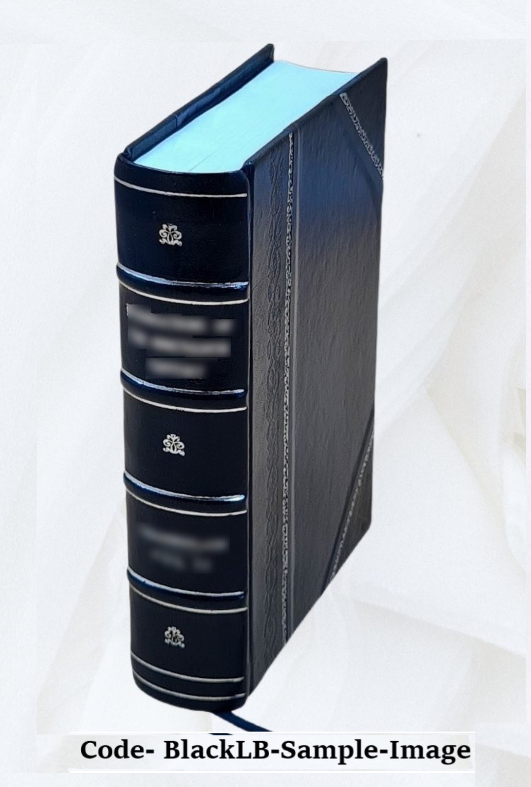 The Lady’S Manual Of Homeopathic Treatment In The Various Derang [Leather Bound]