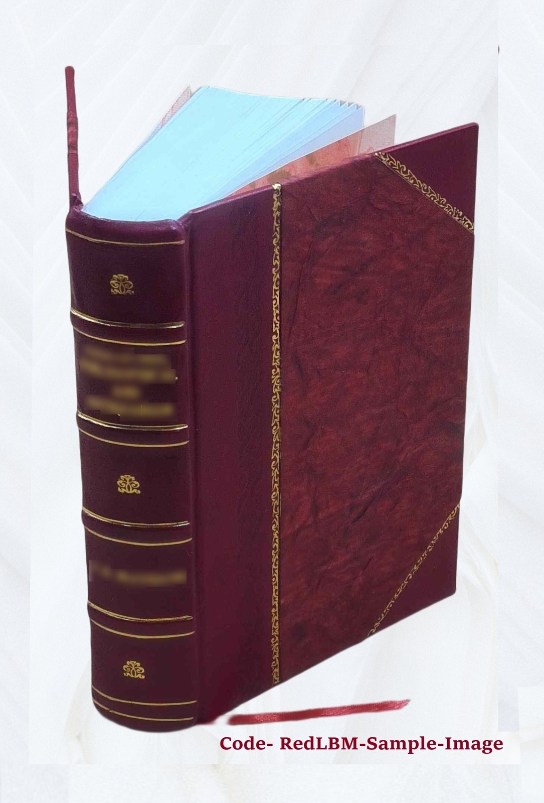 The Homoeopathic Vade Mecum Of Modern Medicine And Surgery. For [Leather Bound]