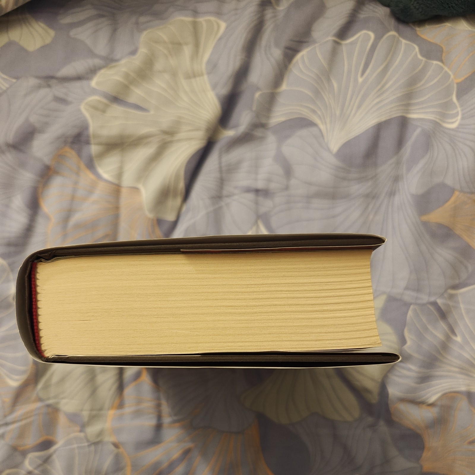 Queen of Shadows by Sarah J. Maas 1st Edition/1st Print – Hardcover