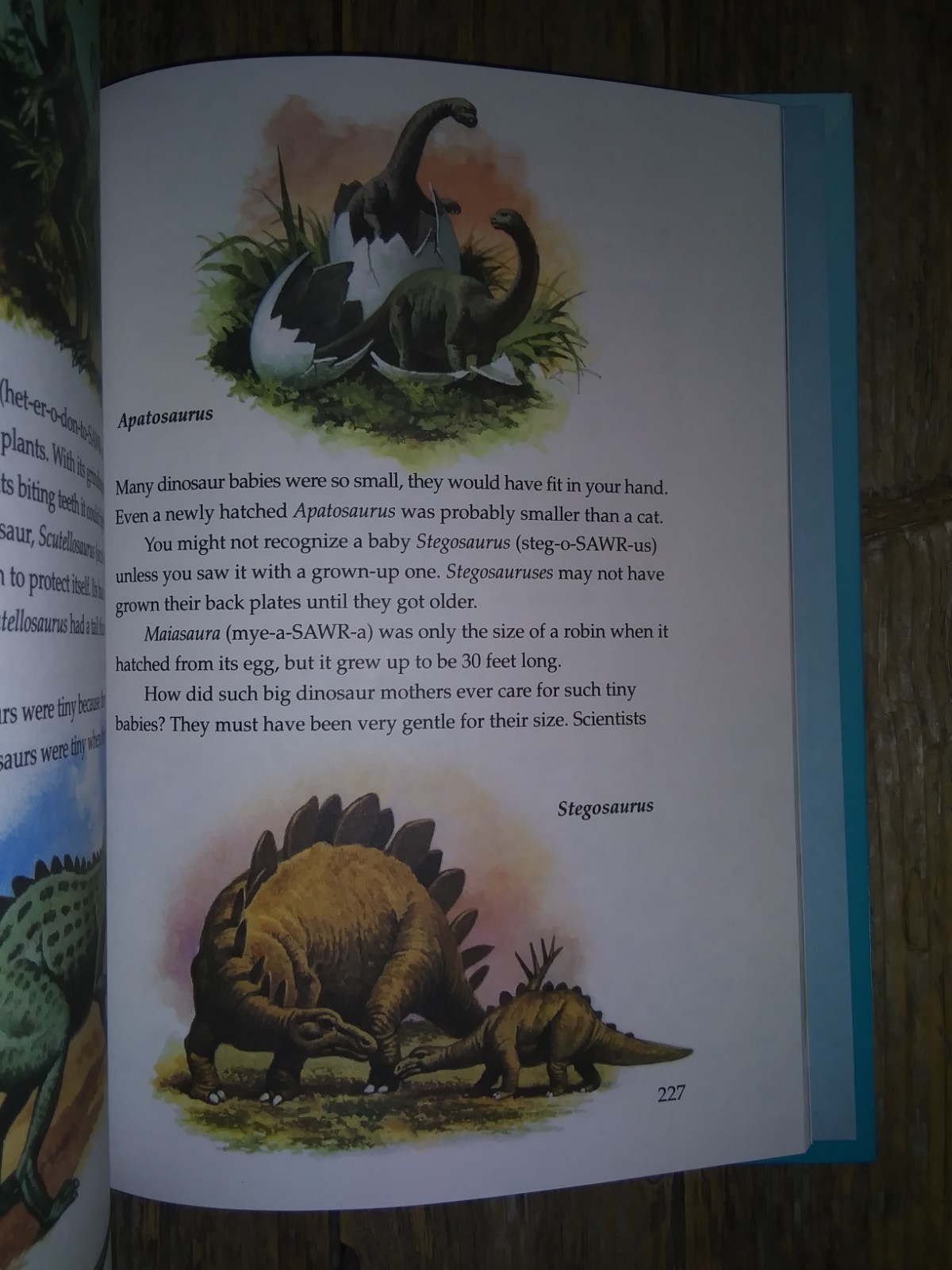 Little Golden Book Story Land 40 Best Stories Childrens Kids Hardcover 256 Pages