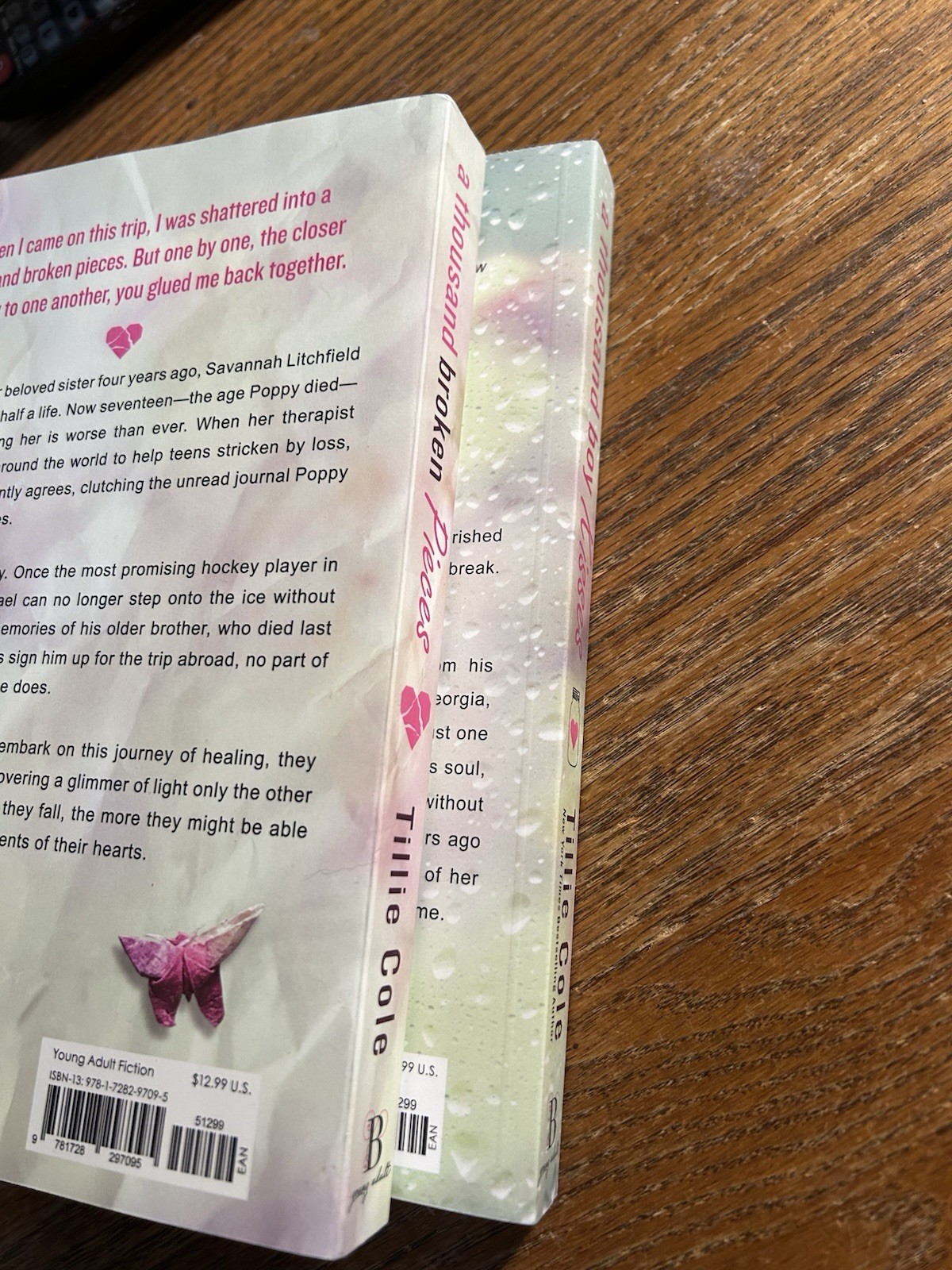 Tillie Cole A Thousand Broken Pieces (A Thousand Boy Kisses #2) TPB 2024 Bonus