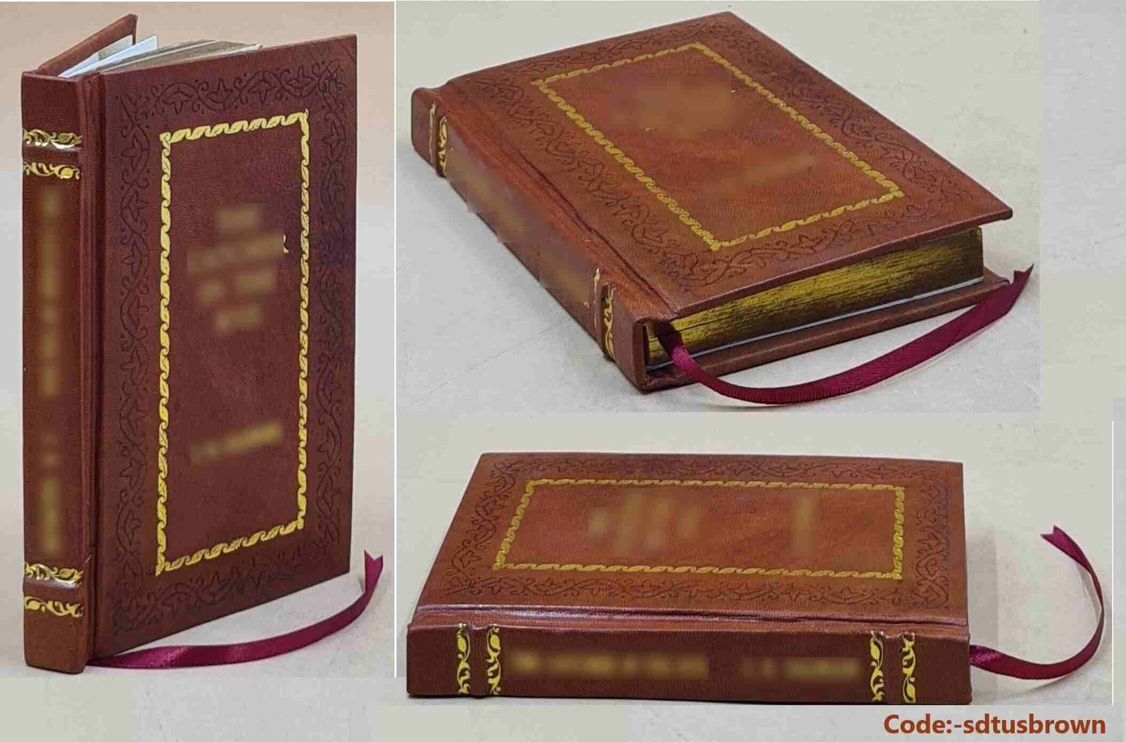 How to Sell Homemade Porn in 2020 BY Triumph, Mike [Premium Leather Bound]