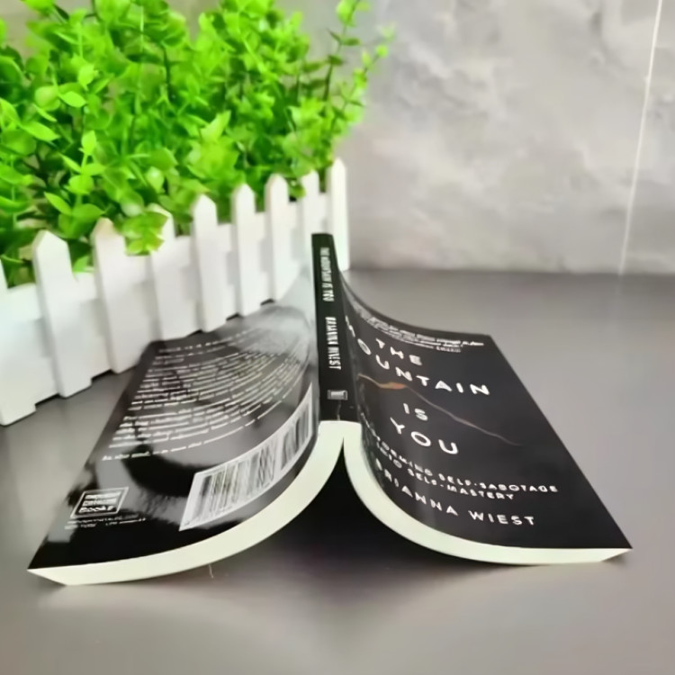 THE MOUNTAIN IS YOU BY BRIANNA WIEST PAPERBACK FREE SHIPPING