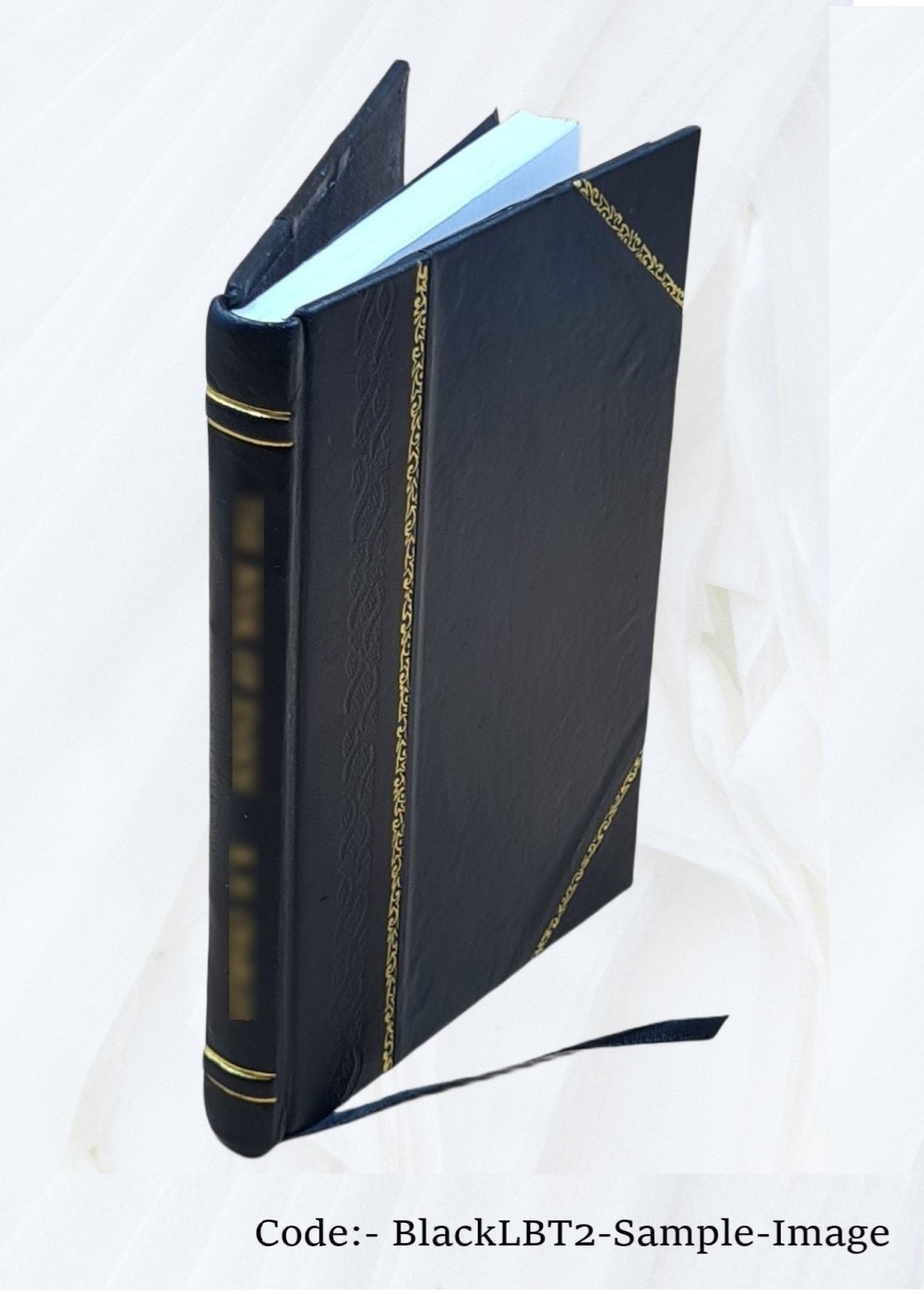 Lecture, Introductory To The Course On The Theory And Practice O [Leather Bound]