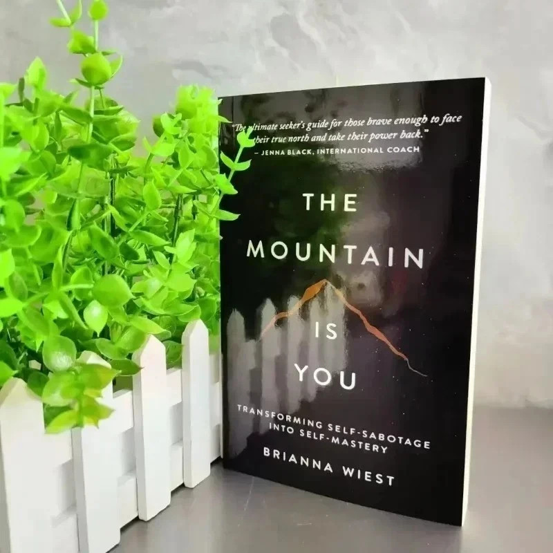 The Mountain is you by Brianna Wiest Paperback Book – Free Shipping US