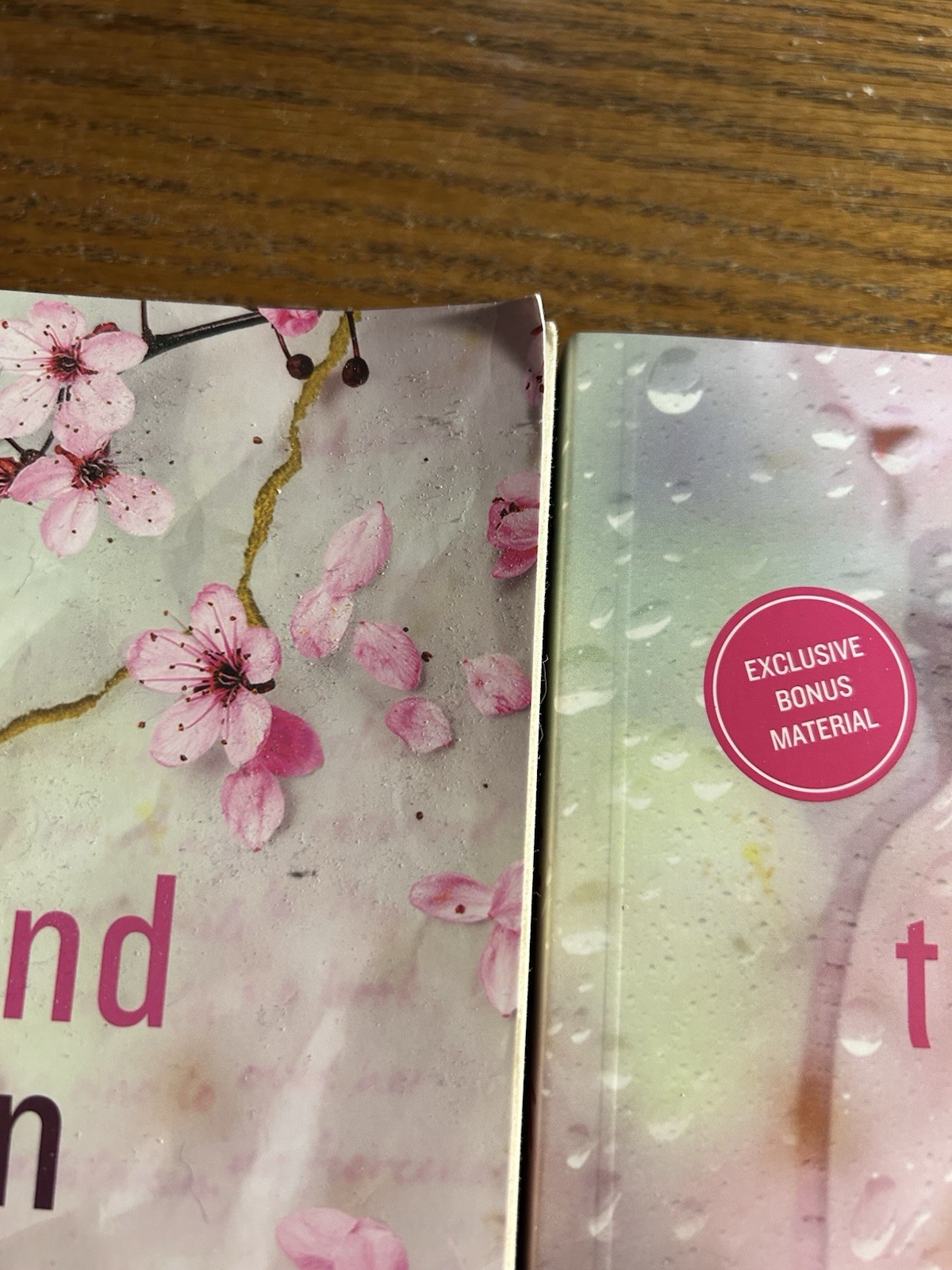 Tillie Cole A Thousand Broken Pieces (A Thousand Boy Kisses #2) TPB 2024 Bonus
