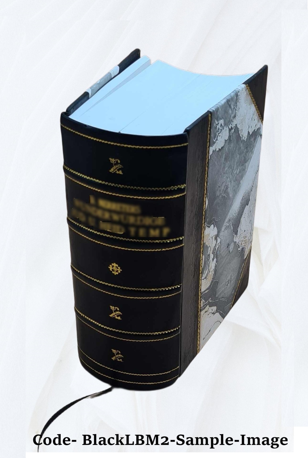 The Homoeopathic Vade Mecum Of Modern Medicine And Surgery. For [Leather Bound]