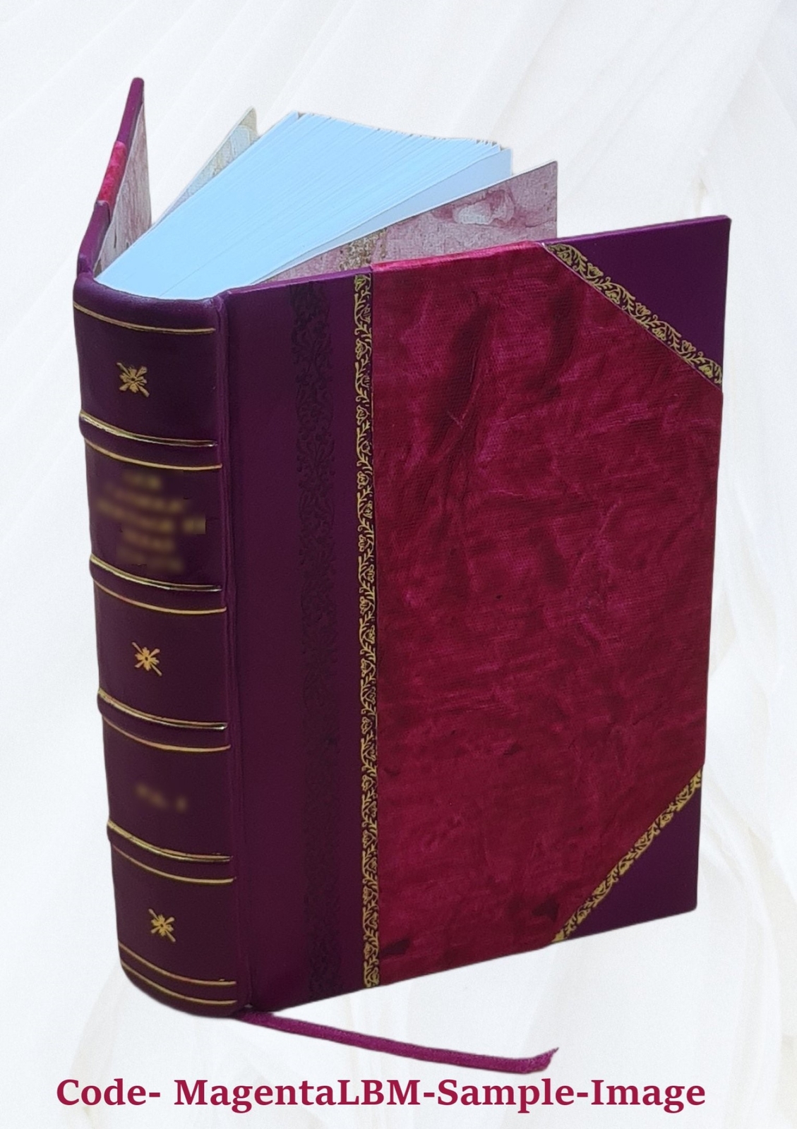 The Homoeopathic Vade Mecum Of Modern Medicine And Surgery. For [Leather Bound]