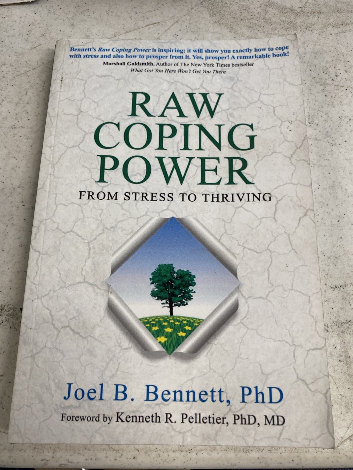 Raw Coping Power: From Stress to Th…, Bennett PhD, Jo Signed