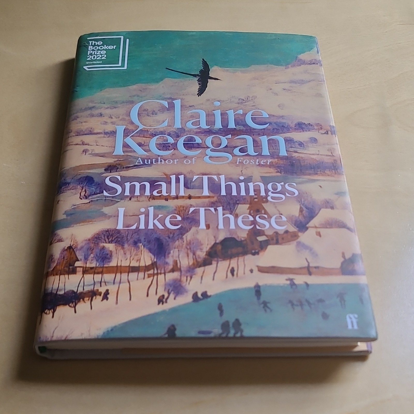 Irish Literature Bundle: Small Things Like These & Amongst Women
