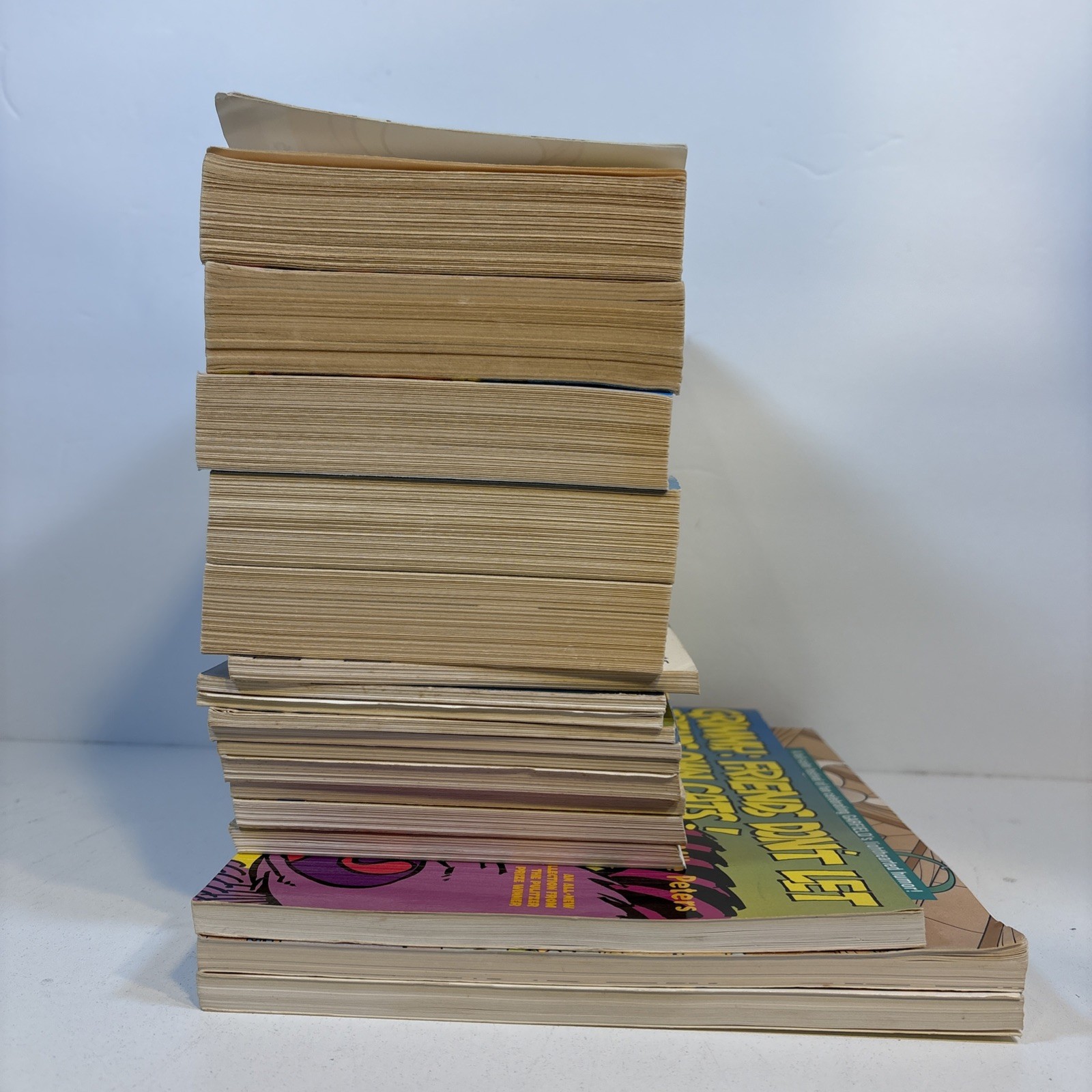 Vintage Garfield Fat Cat 3 Pack Book Lot 18 Jim Davis 1980s 1990’s early 2000s