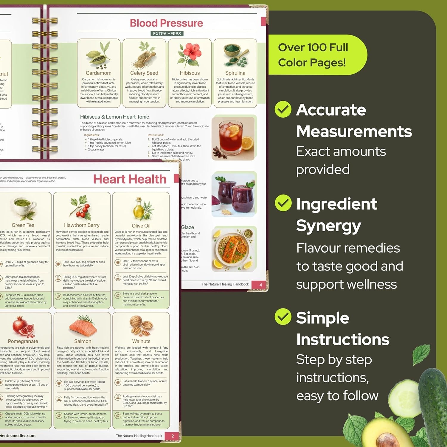The Natural Healing Handbook, Spiral-Bound Guide for Herbal Remedies and Natural
