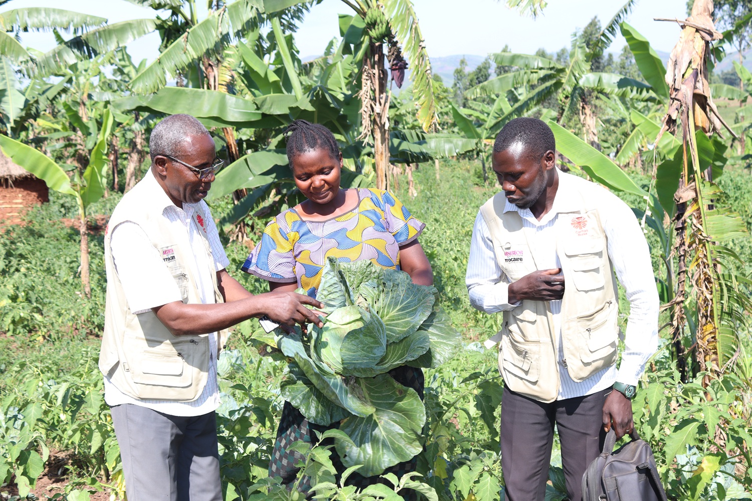 Sécurité alimentaire